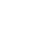 Volvo Foundation